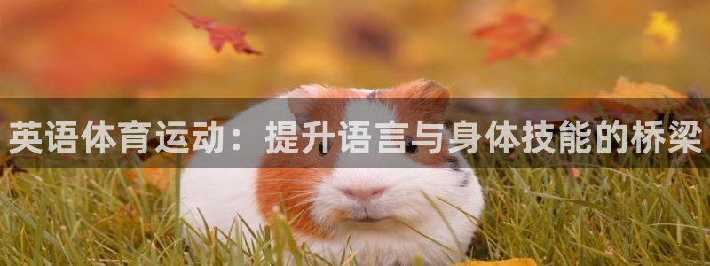 vsport体育官网下载招商电话号码是多少：英语体育