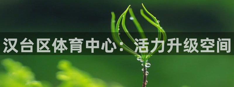 vsport体育官方正版app娱乐下载：汉台区体育中