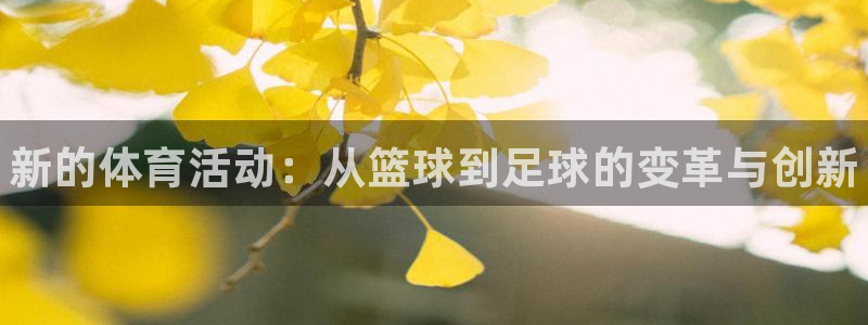 vsport体育官网下载招商电话是多少：新的体育活动
