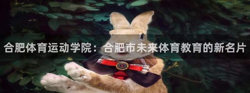 vsport体育官网下载招商电话是多少号码：合肥体育
