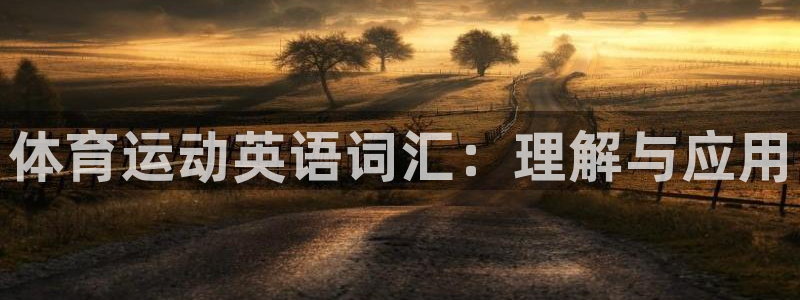 vsport体育官方正版app娱乐网站：体育运动英语词汇：理