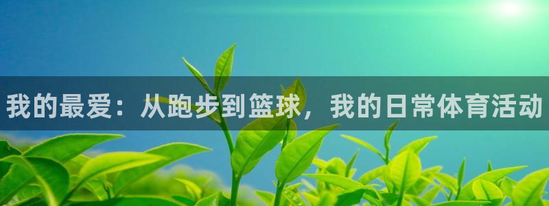 vsport体育官网下载招商：我的最爱：从跑步到篮球，我的日