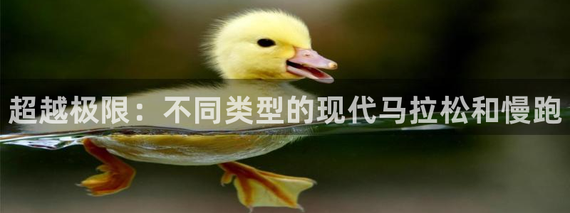 vsport体育官方正版app科技：超越极限：不同类型的现代
