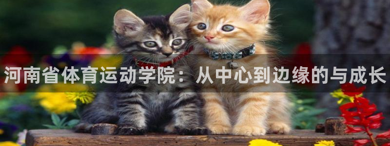 vsport体育官网下载平台注册要钱吗：河南省体育运