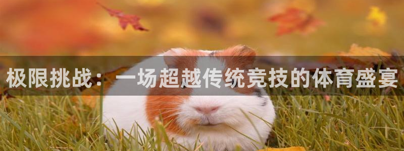 vsport体育官网下载招商：极限挑战：一场超越传统竞技的体