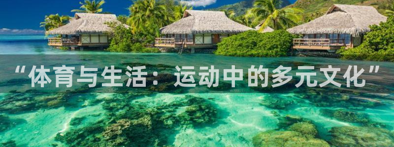 德国vsport体育官方正版app集团：“体育与生活
