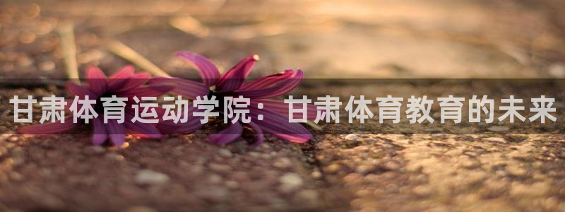 vsport体育官网下载招商电话号码查询是多少：甘肃