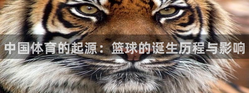 vsport体育官网下载注册：中国体育的起源：篮球的诞生历程