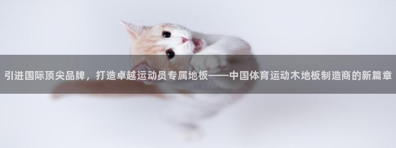 vsport体育官方集团官网：引进国际顶尖品牌，打造卓越运动