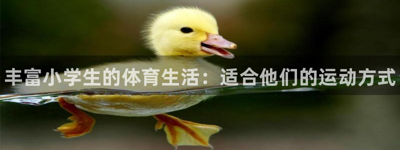 注册vsport体育官方正版app：丰富小学生的体育