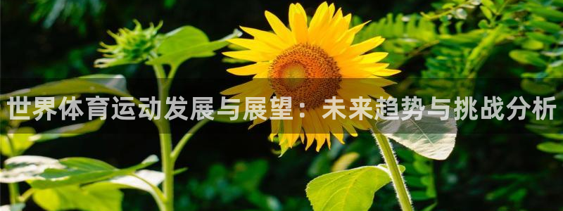 vsport体育官方正版app娱乐平台：世界体育运动发展与展