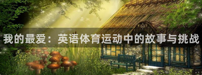 vsport体育官方正版app集团：我的最爱：英语体