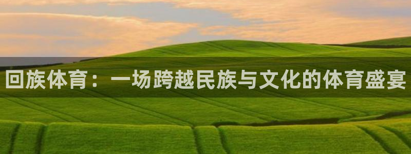 德国vsport体育官方正版app集团：回族体育：一