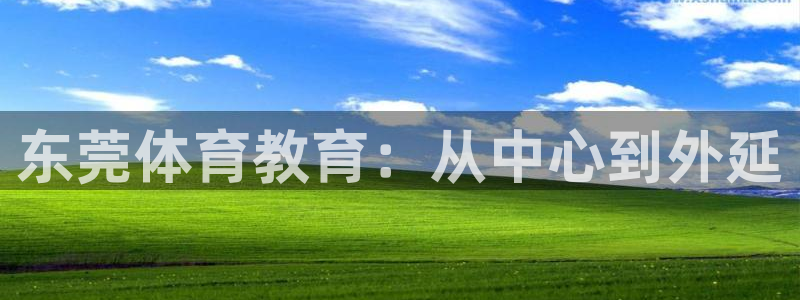vsport体育官网下载平台APP