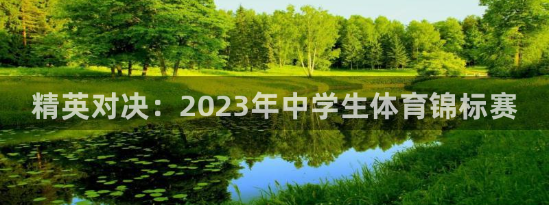 vsport体育官方集团官网：精英对决：2023年中