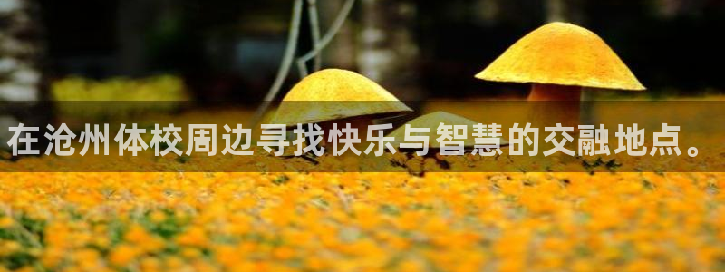 vsport体育官网下载：在沧州体校周边寻找快乐与智