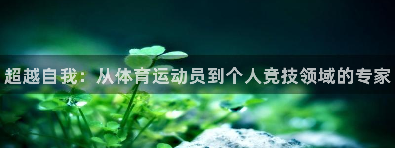 海南vsport体育官网下载发展怎么样：超越自我：从