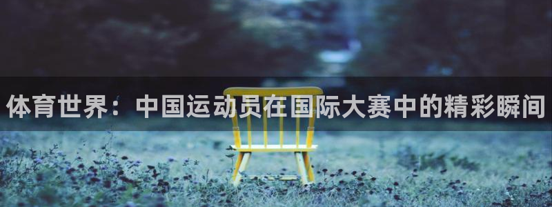 vsport体育官网下载平台注册流程视频：体育世界：中国运动