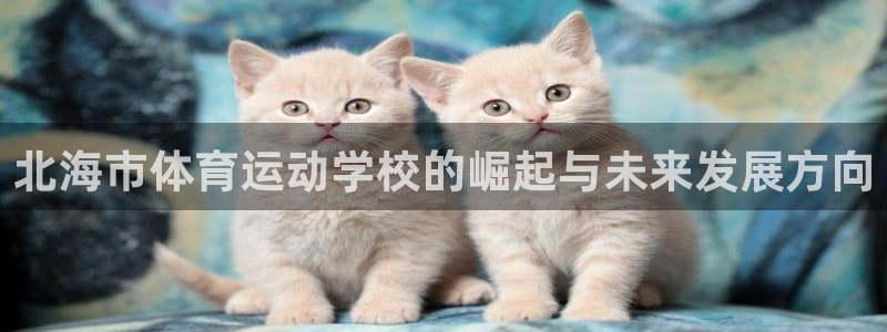 vsport体育官网下载官方客服电话
