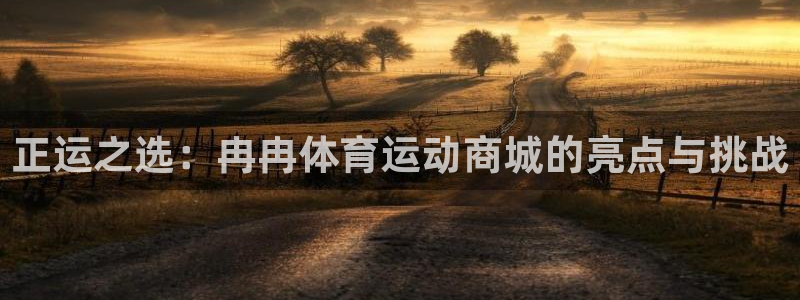 海南vsport体育官网下载发展怎么样：正运之选：冉冉体育运