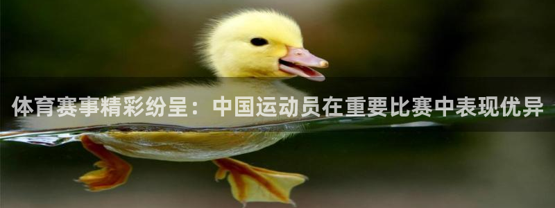 vsport体育官网下载注册：体育赛事精彩纷呈：中国运动员在