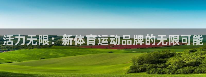 vsport体育官网下载软件：活力无限：新体育运动品牌的无限