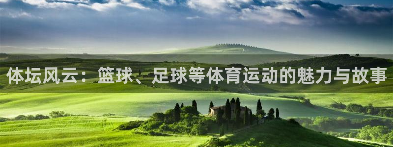 vsport体育官网下载平台是正规平台吗知乎