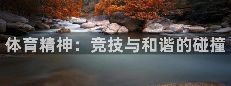 vsport体育官网下载软件