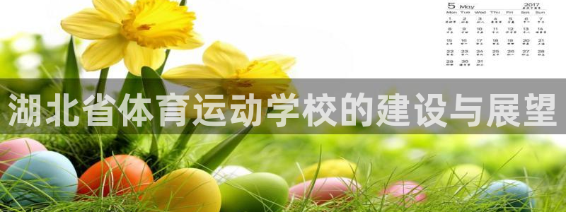 vsport体育官方正版app集团简介：湖北省体育运动学校的