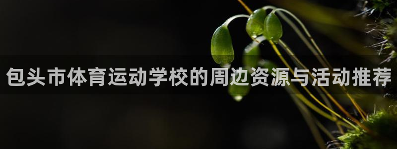 vsport体育官方正版app官网：包头市体育运动学校的周边