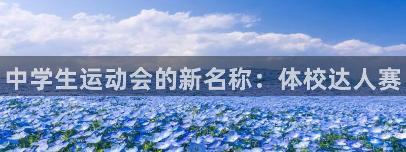 vsport体育官网下载招商电话