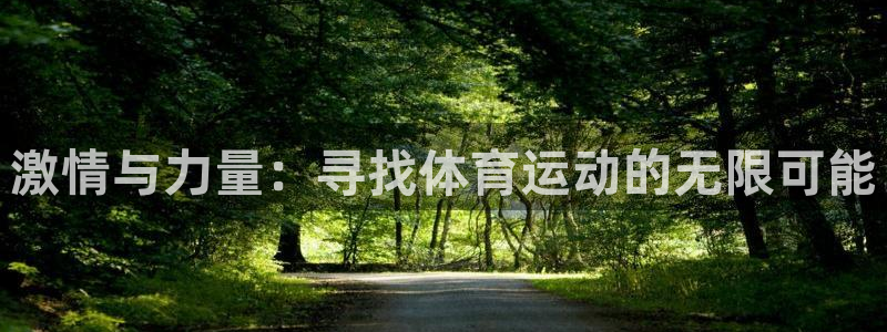 vsport体育官网下载