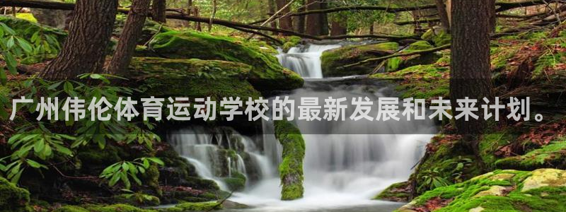 vsport体育官方正版app代理:广州伟伦体育运动学校的最