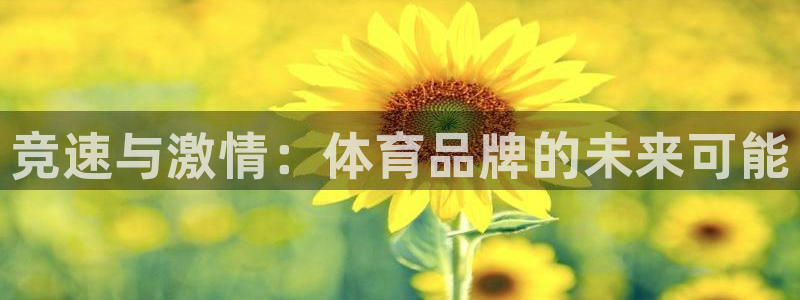 vsport体育官方正版app娱乐网站：竞速与激情：体育品牌