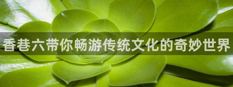 搜球吧直播nba中文直播