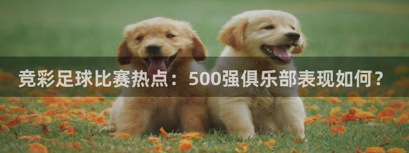 搜球吧nba在线直播：竞彩足球比赛热点：500强俱乐部表现如何？