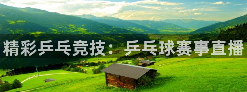 搜球吧手机直播nba直播：精彩乒乓竞技：乒乓球赛事直播